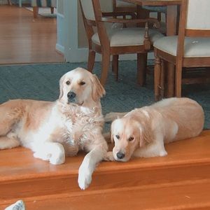 Meet your Posher, Tessa